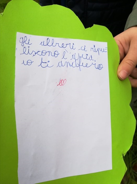 Ronta, i bambini e i loro pensieri per l'albero