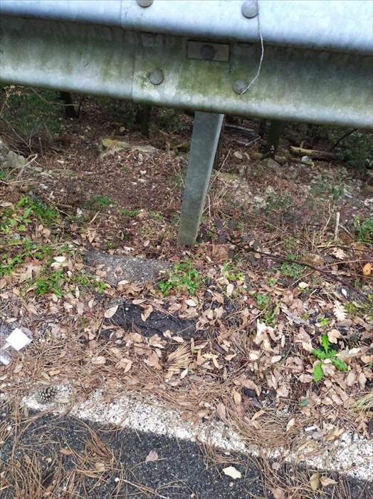 La Panoramica di Monte Morello