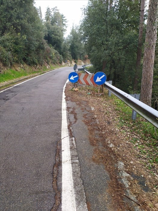 La Panoramica di Monte Morello