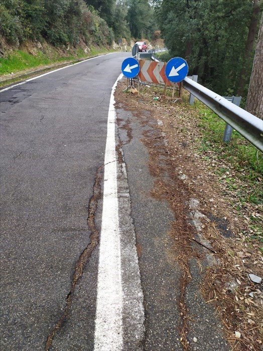 La Panoramica di Monte Morello