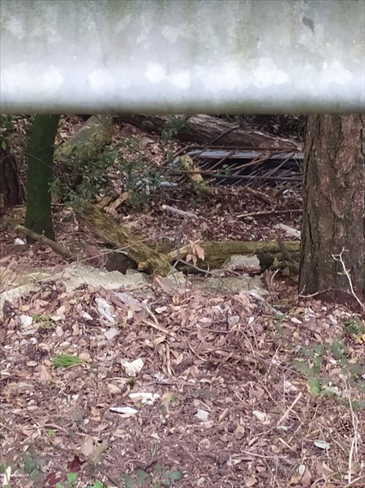 La Panoramica di Monte Morello