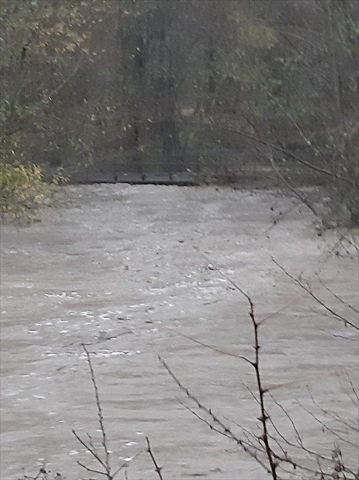 Il Lamone a Crespino