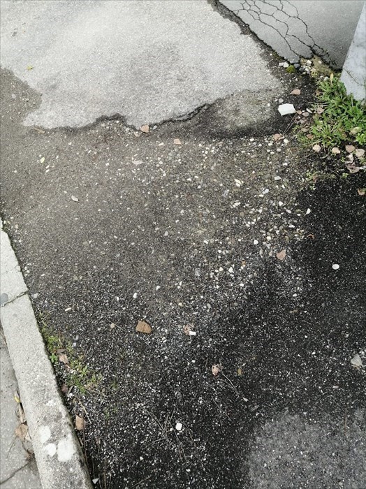 Le foto di Forza Italia