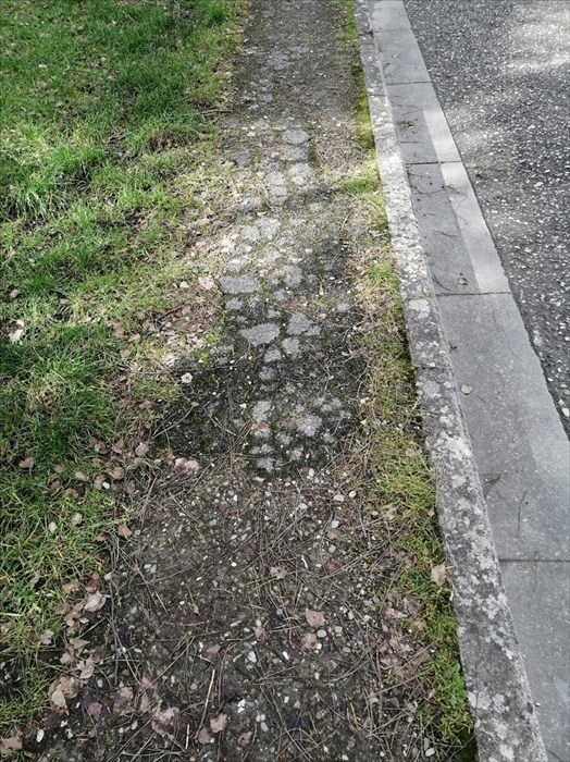 Le foto di Forza Italia