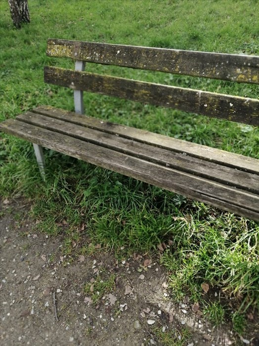 Le foto di Forza Italia