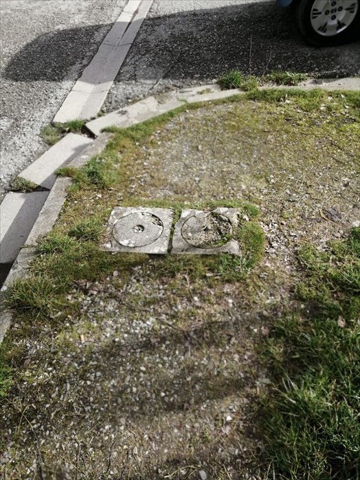 Le foto di Forza Italia