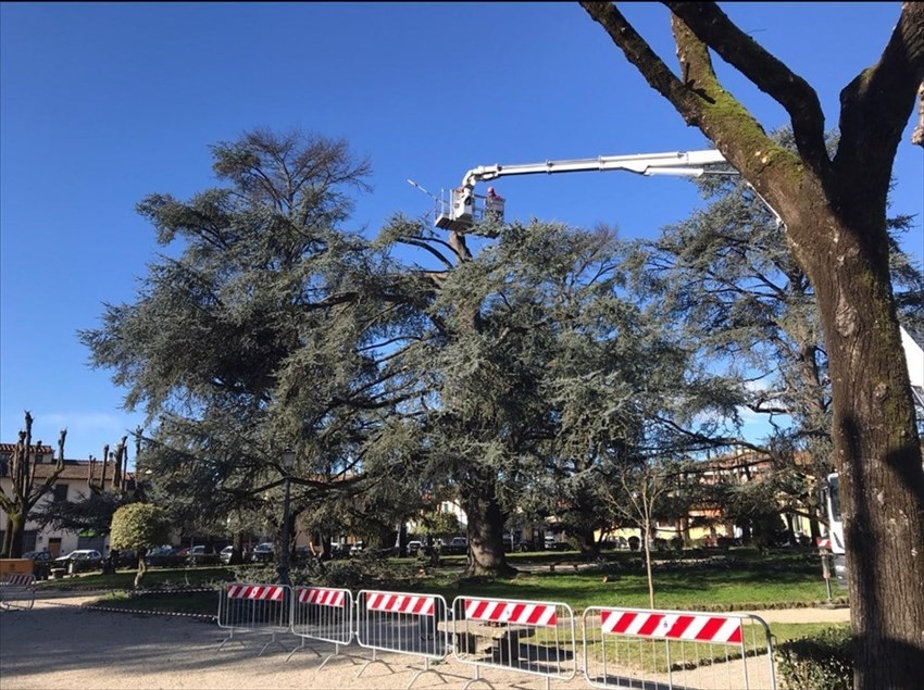 Borgo. Continua l'intervento ai giardini di Piazza Dante