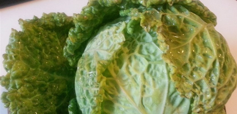 Tutto il bello del cavolo. Gusto e salute nel piatto con gli spaghetti al pesto di cavolo nero.