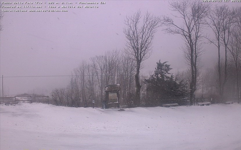 Passo della Futa 25 marzo 2020