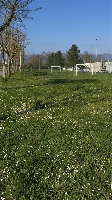 Borgo - Rabatta