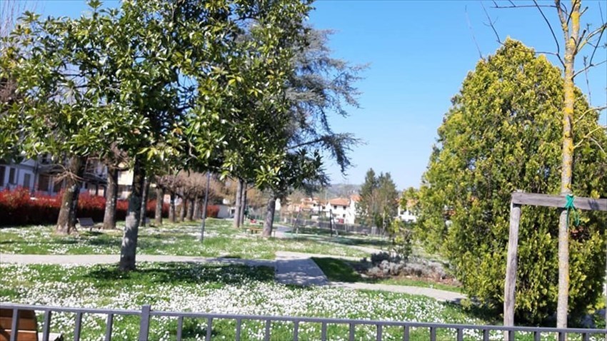 Barberino