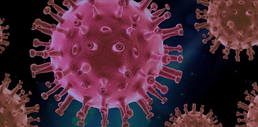 Coronavirus