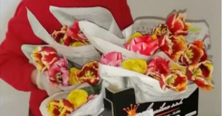 I tulipani del mensola