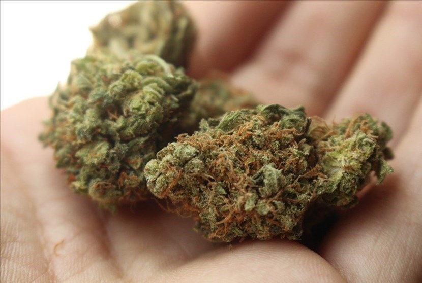 Spaccio di marijuana