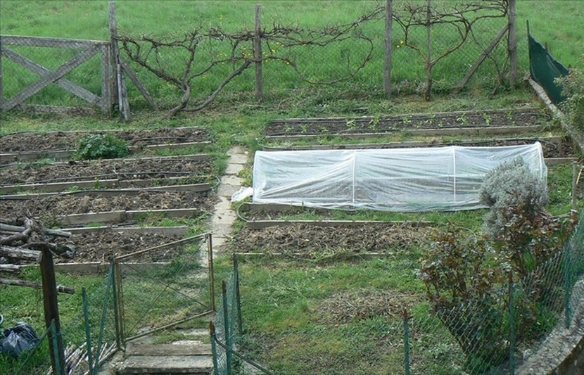 Covid e orti sociali. L'opinione e la proposta degli iscritti Auser di San Piero