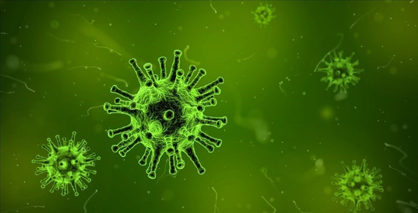 Lettera in redazione. Da quanto il virus circola in Italia? La risposta della scienza