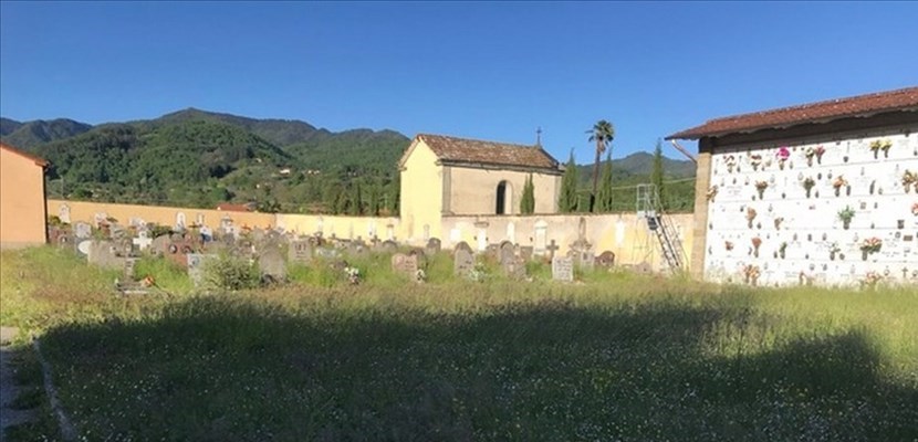 Erba al cimitero di Luco