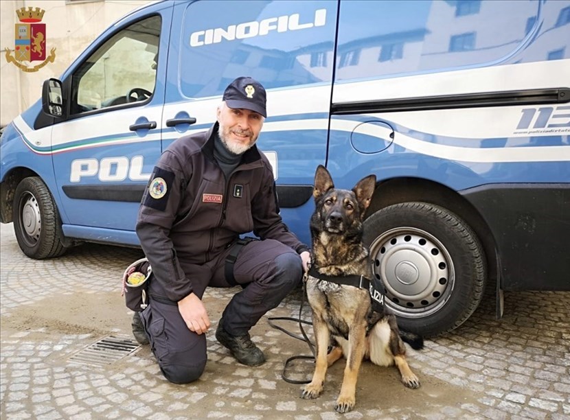 Mia, il cane antidroga della polizia di Firenze