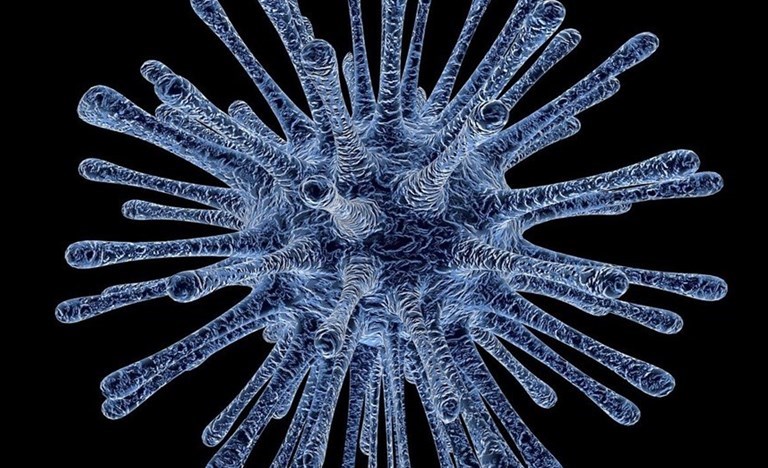 l virus e il nostro stile di vita. Riflessione di un lettore