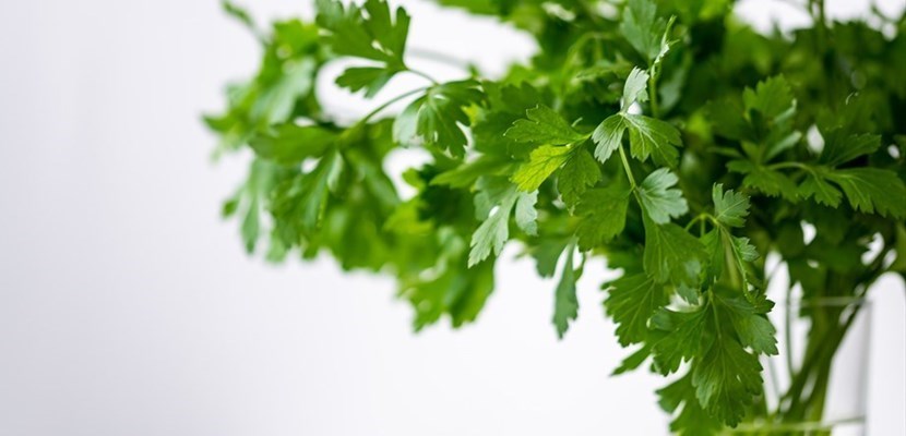 Salsa verde per impreziosire di sapore qualsiasi pietanza