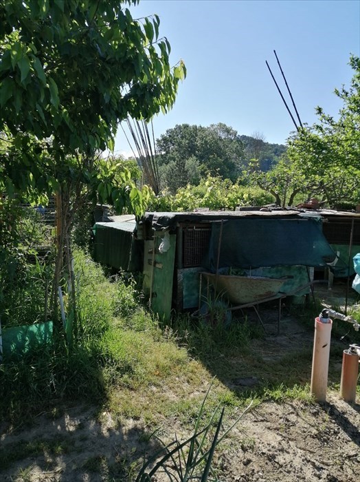 Gli orti sociali a Vicchio