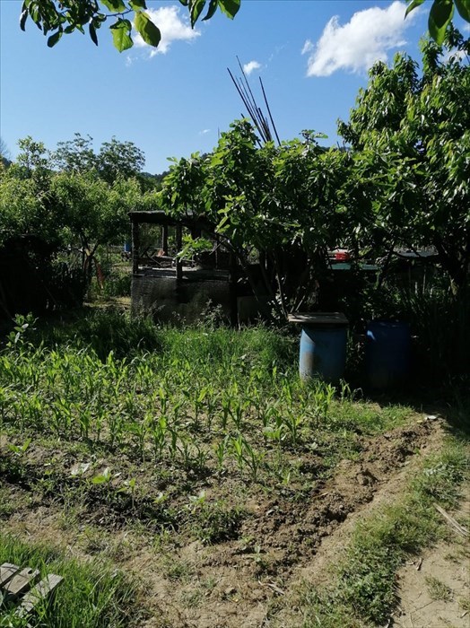 Gli orti sociali a Vicchio