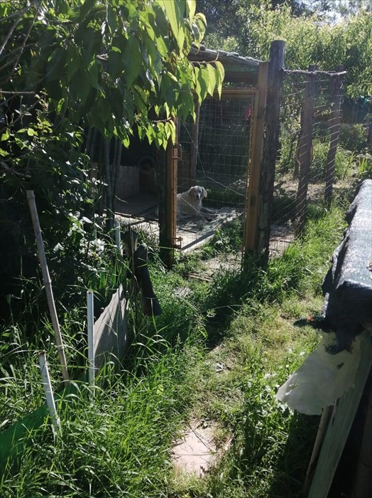 Gli orti sociali a Vicchio