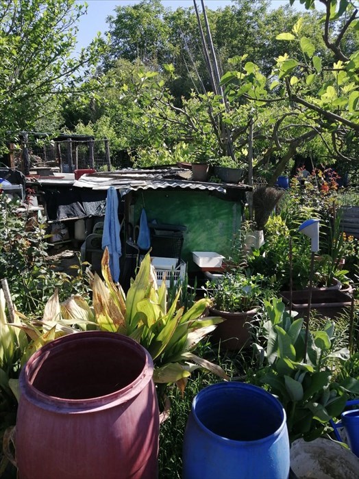 Gli orti sociali a Vicchio