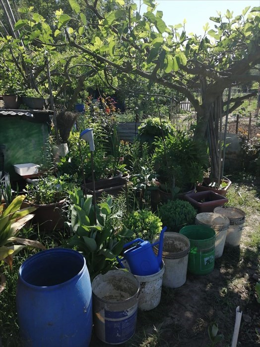 Gli orti sociali a Vicchio