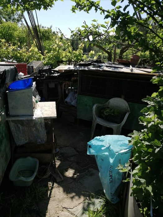 Gli orti sociali a Vicchio