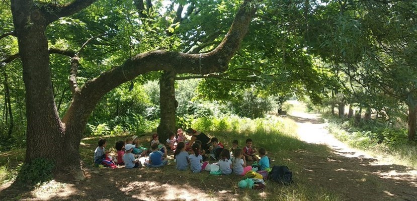 Centri estivi a Vaglia