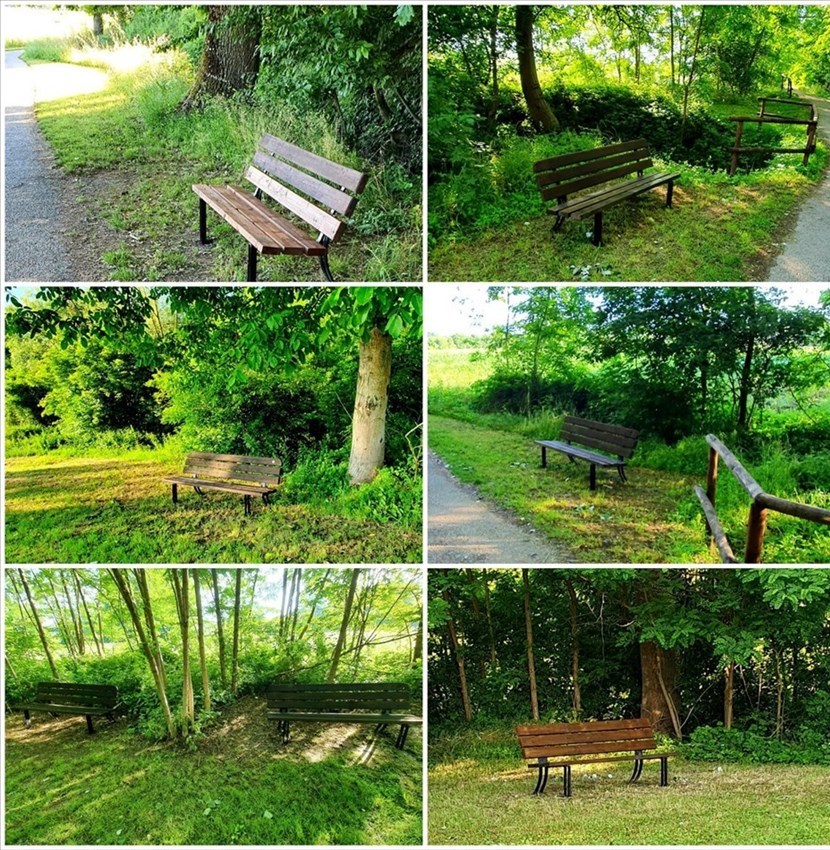 Nuove panchine sulla ciclabile tra Borgo e Sagginale. Foto del Giorno