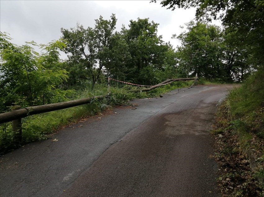 La frana a Montecuccoli