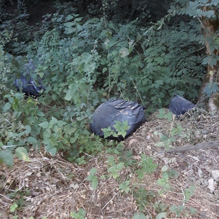 Rifiuti abbandonati a Molezzano Foto 5