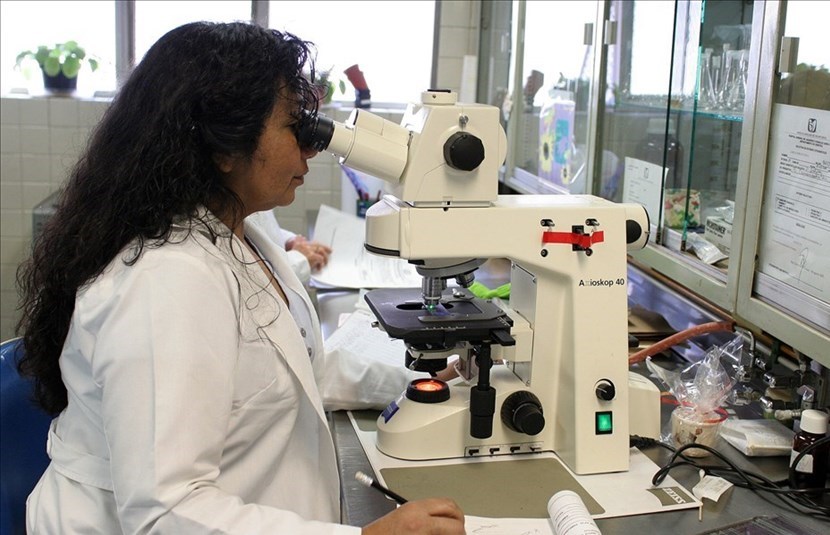 Analisi in laboratorio