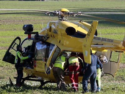 Pegaso. Foto di repertorio