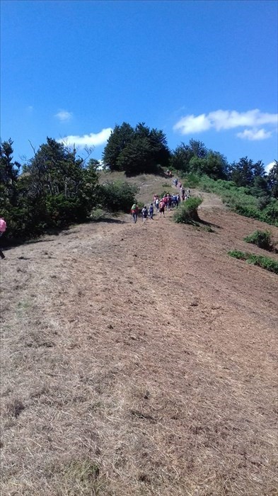 Camminata sui luoghi dove dovrebbe sorgere il Parco Eolico in Mugello.