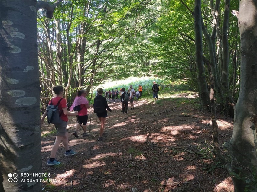 Camminata sui luoghi dove dovrebbe sorgere il Parco Eolico in Mugello.