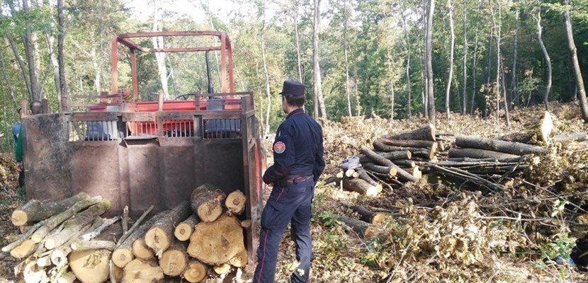 Controlli in un cantiere forestale