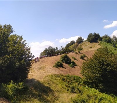 I crinali interessati