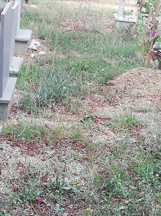 Cimitero di Pratolino