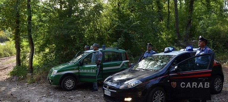 Carabinieri e Carabinieri Forestali. Repertorio