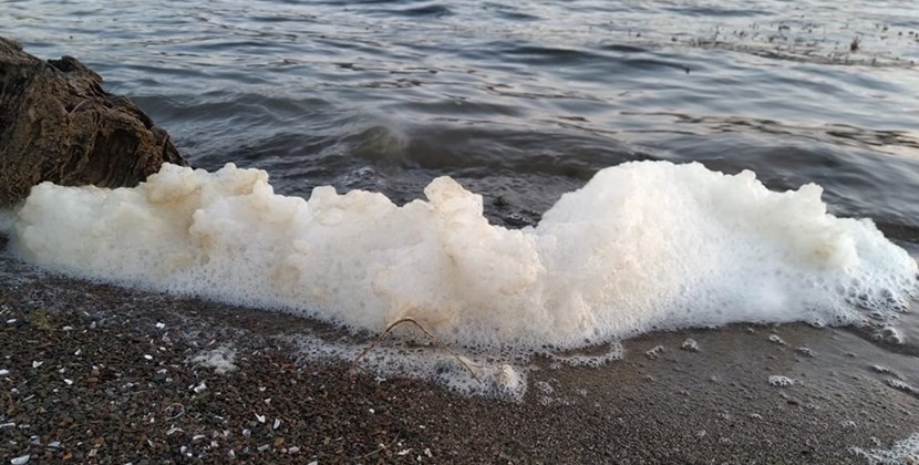 Schiuma nel lago di Bilancino. Foto di un lettore
