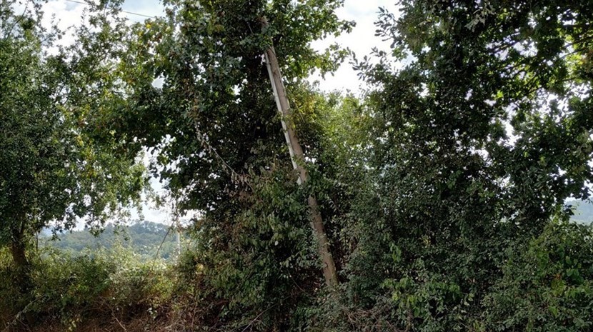 Il palo pericolante sulla strada da Lutiano al "" vecchio Pallone"",""OK!Mugello