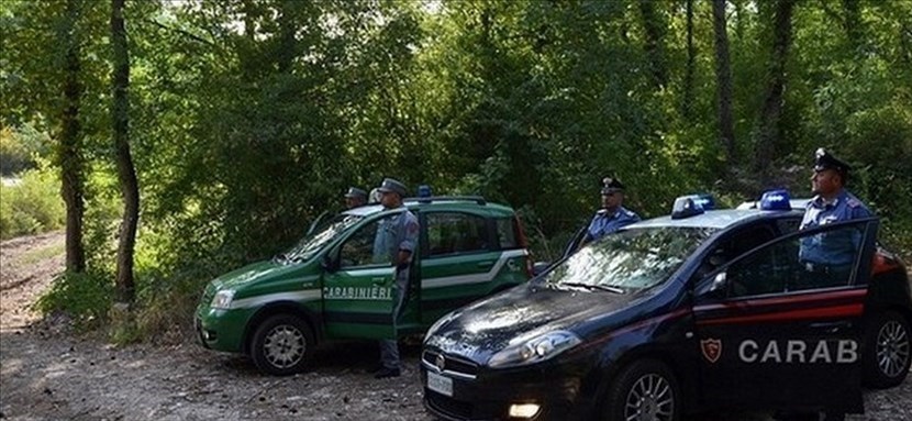 Carabinieri e Carabinieri Forestali. Foto di repertorio