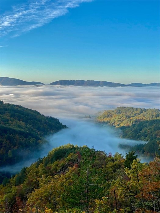 Il Mugello da Poggio Rotto