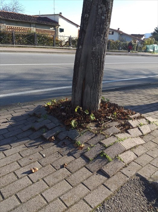 Viale Matteotti a Scarperia