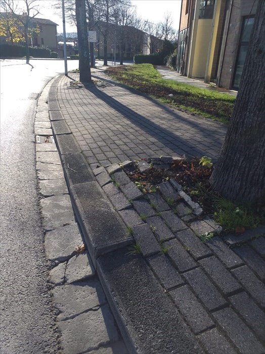 Viale Matteotti a Scarperia