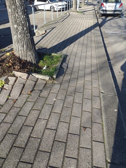 Viale Matteotti a Scarperia