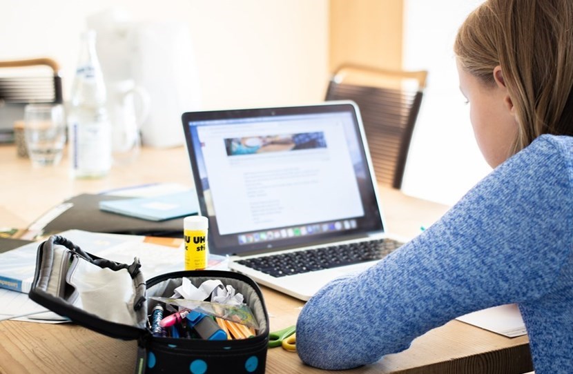 Didattica a distanza - scuola - ragazzi